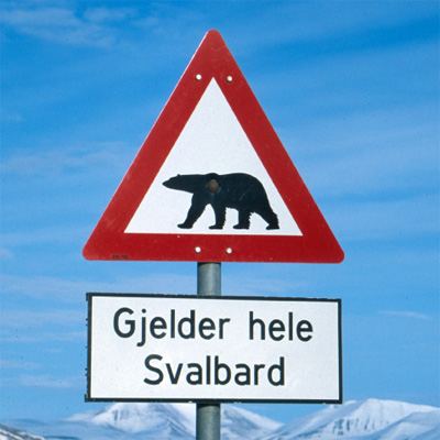 International Arctic summer school