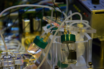 Meet the teams: ETH Space Biology