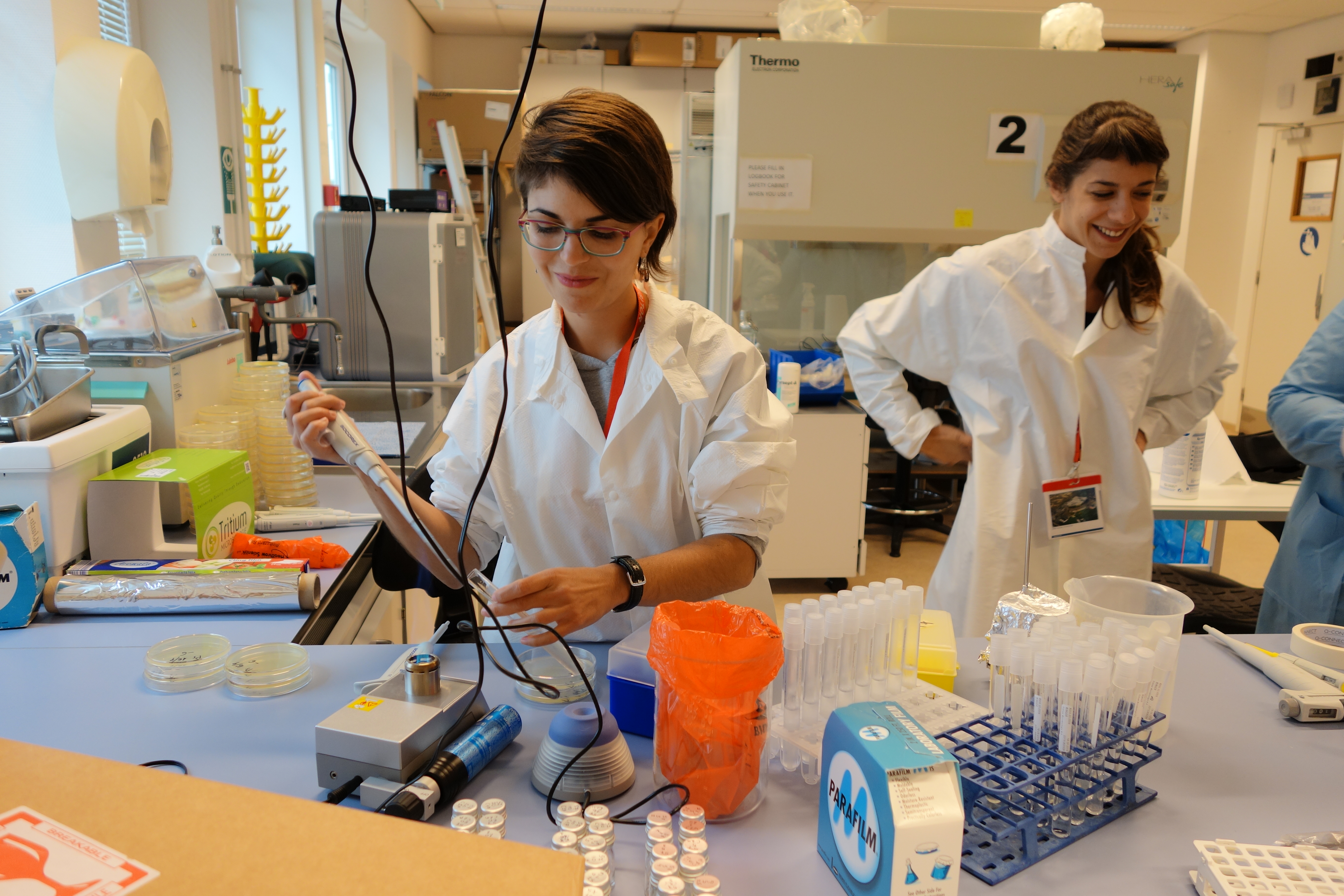 Preparing samples for motility measurement