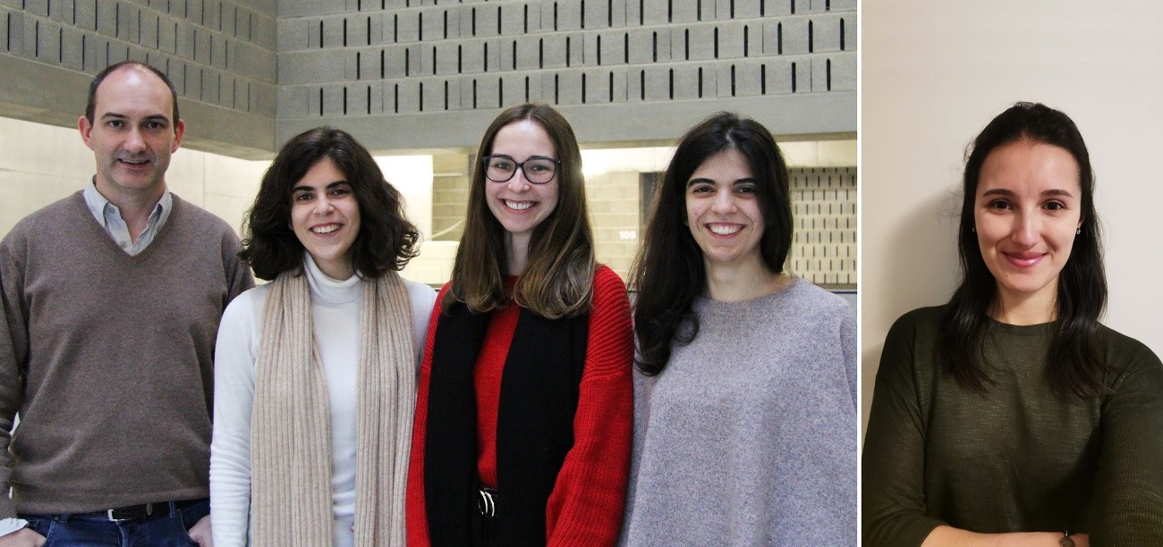 The PhD students and their endorsing professor