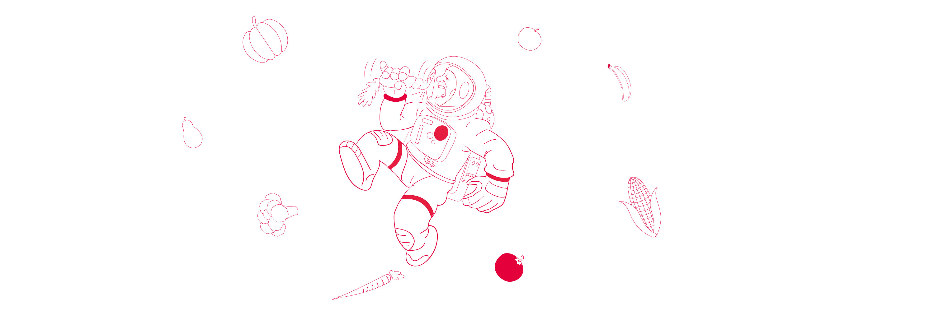 Astrofood – Learning about edible plants in Space