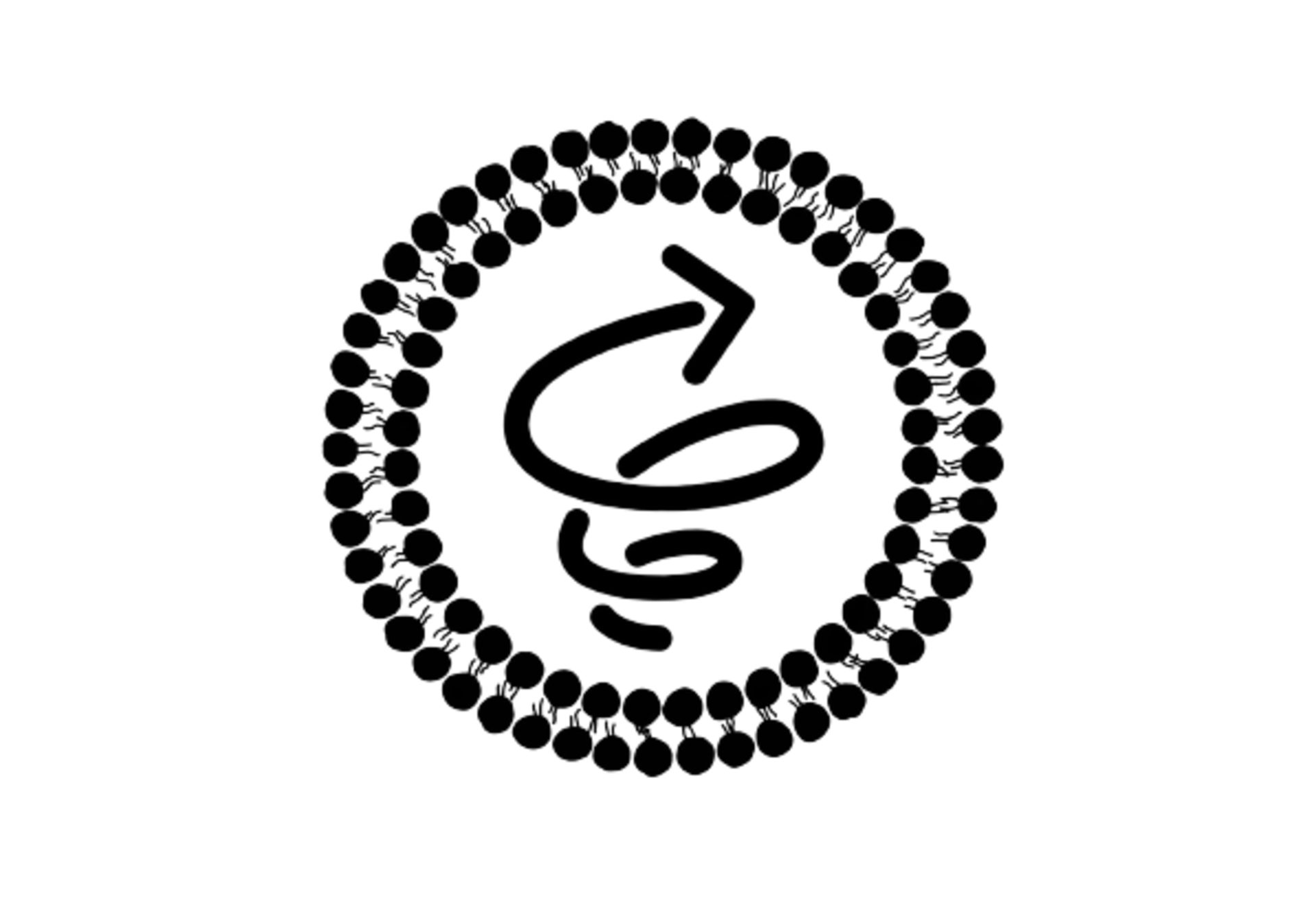 NOAHS ARC team logo