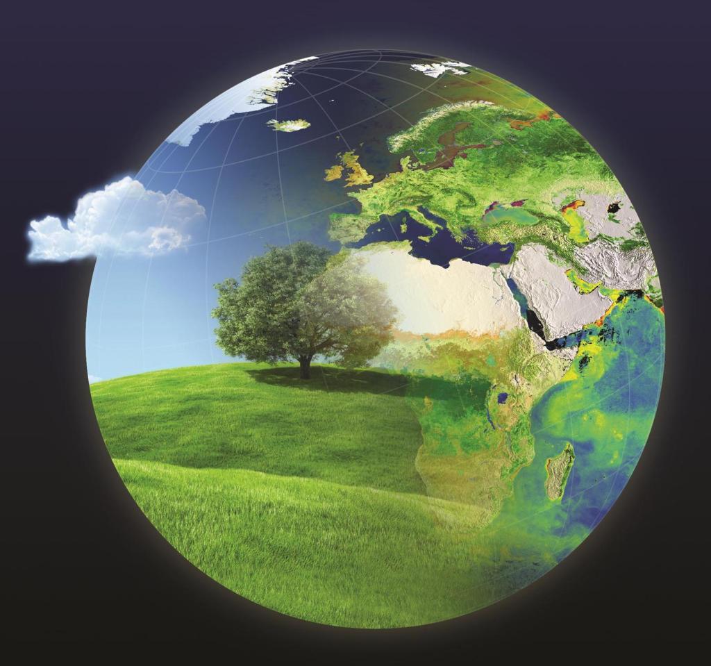 Thank you to all the 2022-2023 Climate Detectives’ teams for making a difference