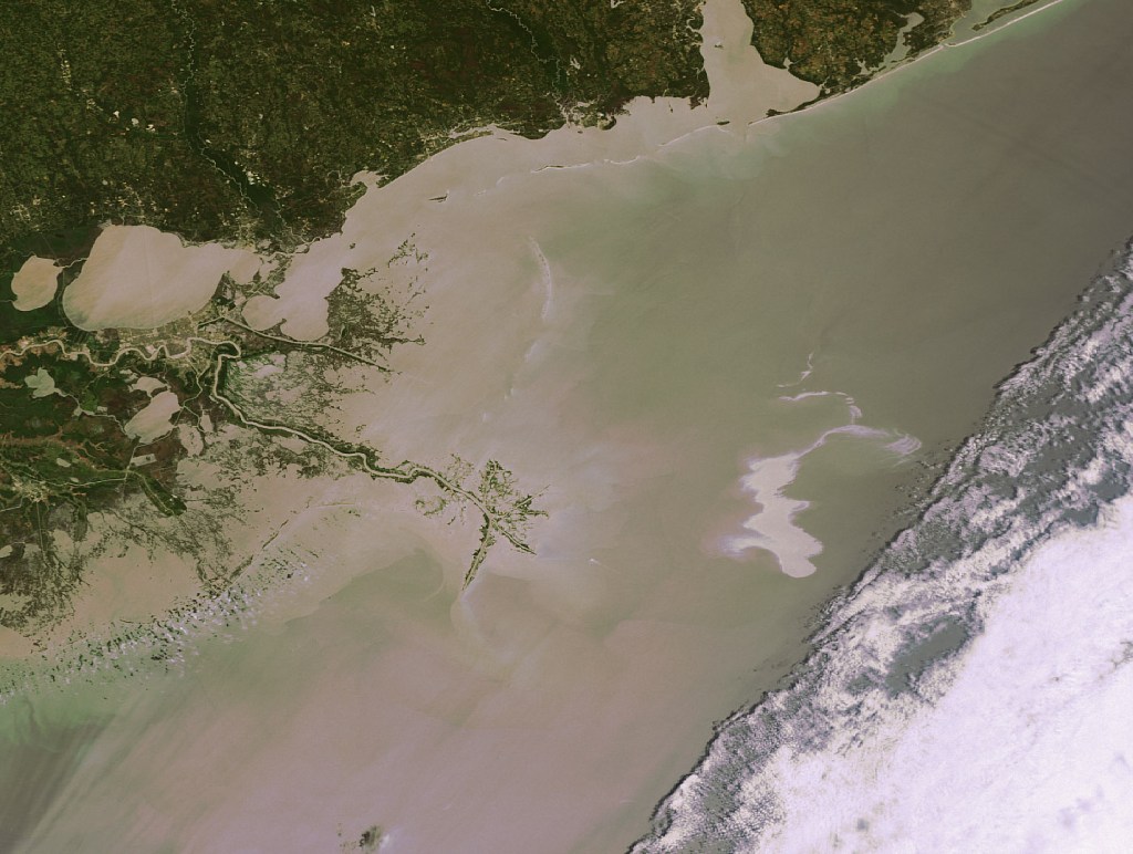 Copernicus Browser Case Study: Oil Spills from Space
