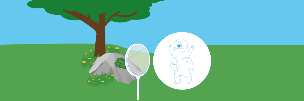Space Bears: Lab-experience with Tardigrades